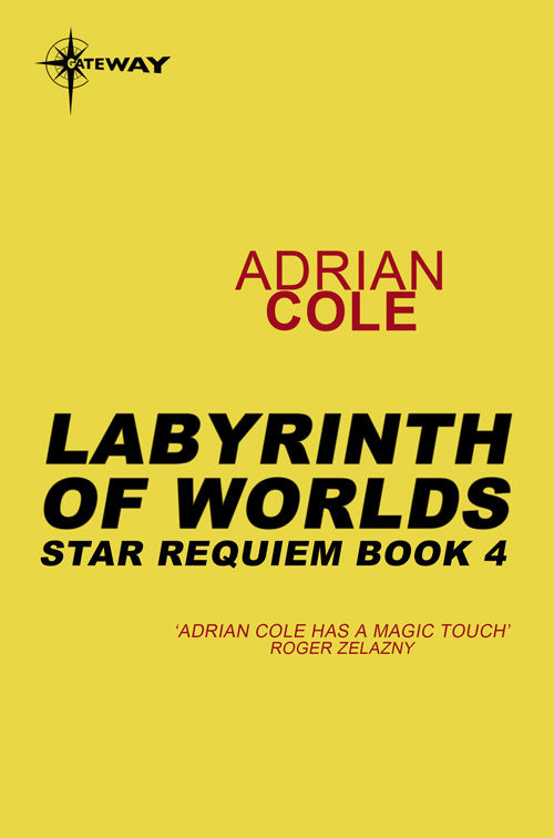 Labyrinth of Worlds: Star Requiem Book 4