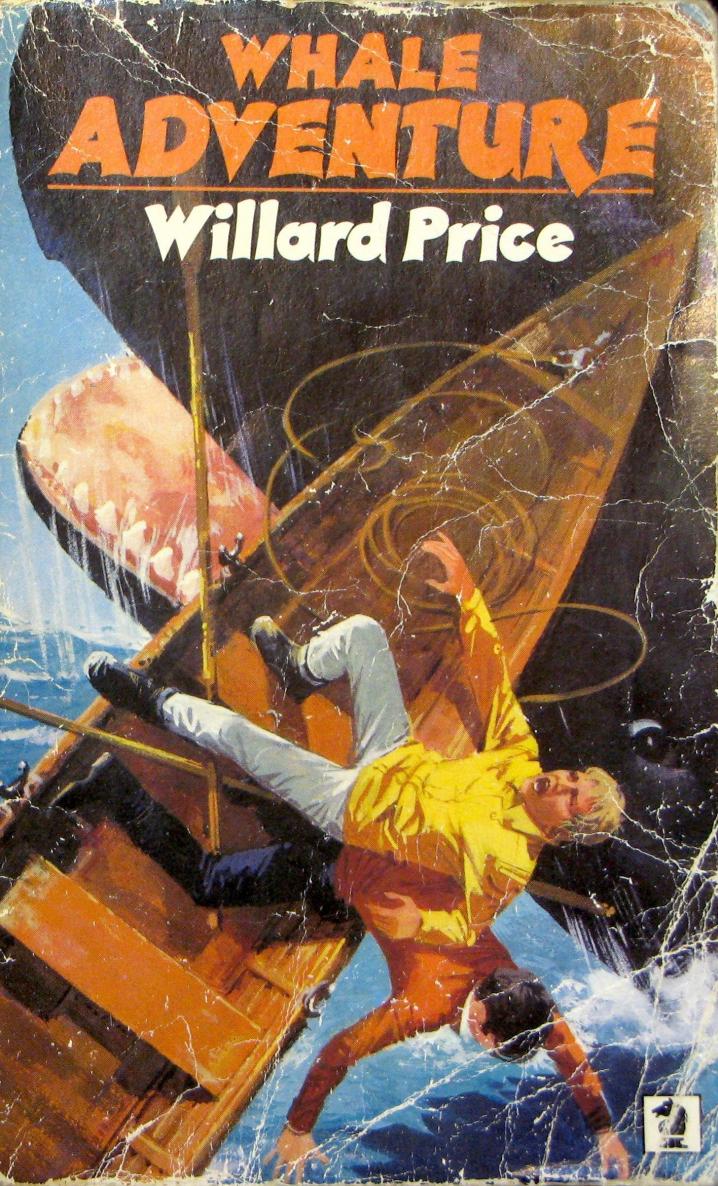 Whale Adventure