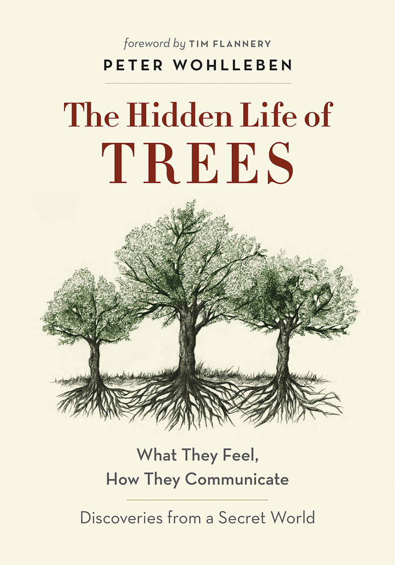 The Hidden Life of Trees: What They Feel, How They Communicate—Discoveries from a Secret World