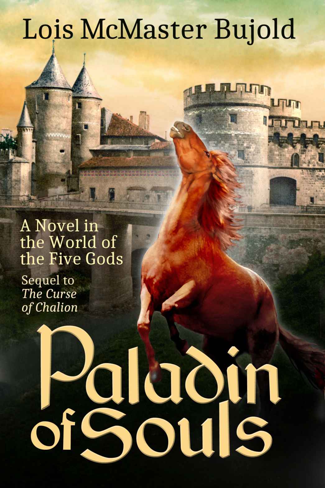 Paladin of Souls