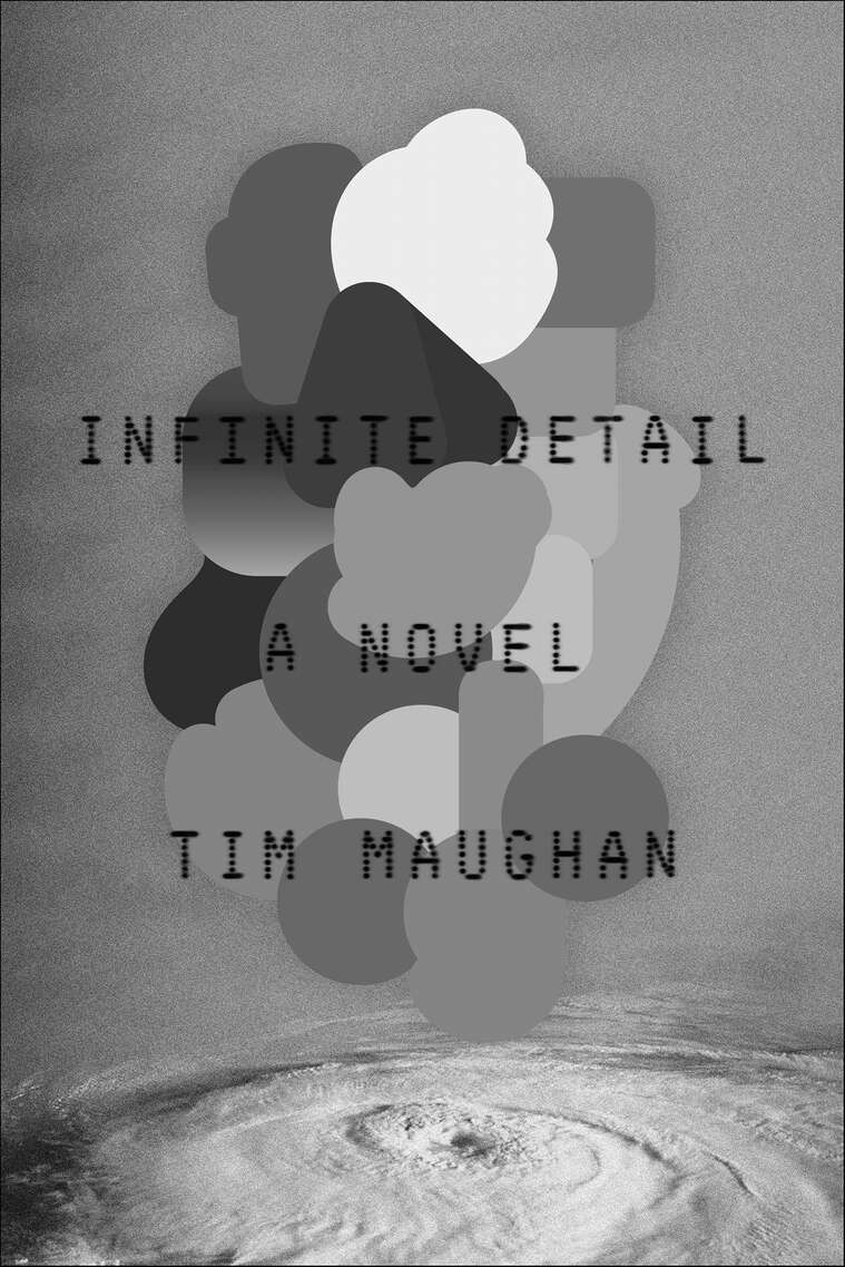 Infinite Detail: A Novel