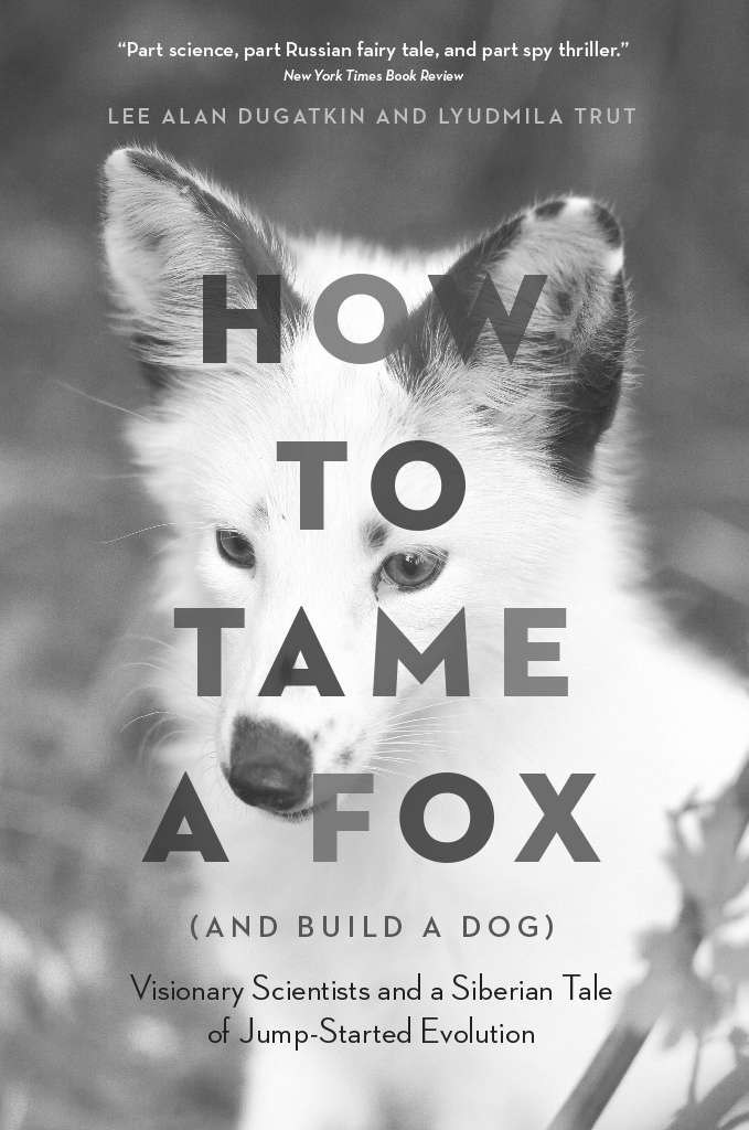 How to Tame a Fox (and Build a Dog) - Sample